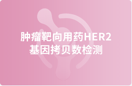 肿瘤靶向用药HER2基因拷贝数检测