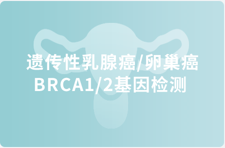 遗传性乳腺癌/卵巢癌BRCA1/2基因检测