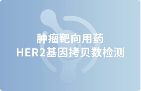 肿瘤靶向用药HER2基因拷贝数检测